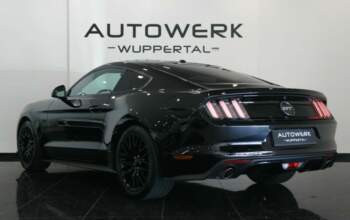 Ford mustang 5.0 V8 421 ch-2