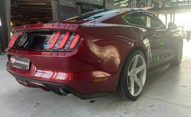 Ford Mustang 5.0 V8 421 ch-12