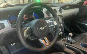 Ford Mustang 5.0 V8 421 ch-16