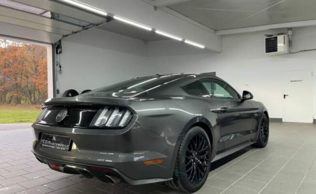 Ford Mustang 5.0 V8 421 ch-3