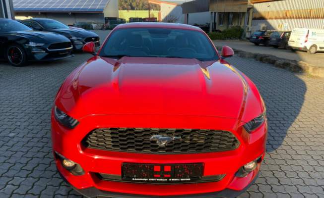 Ford mustang 2.3 ecoboost 317 ch-11